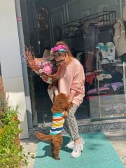 Malaya 4 Mevsim Sweatshirt - Toz Pembe